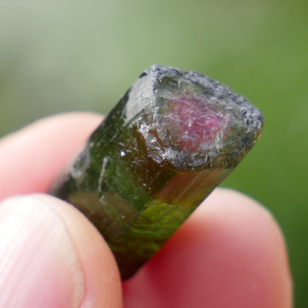 Watermeloen toermalijn categorie afbeelding