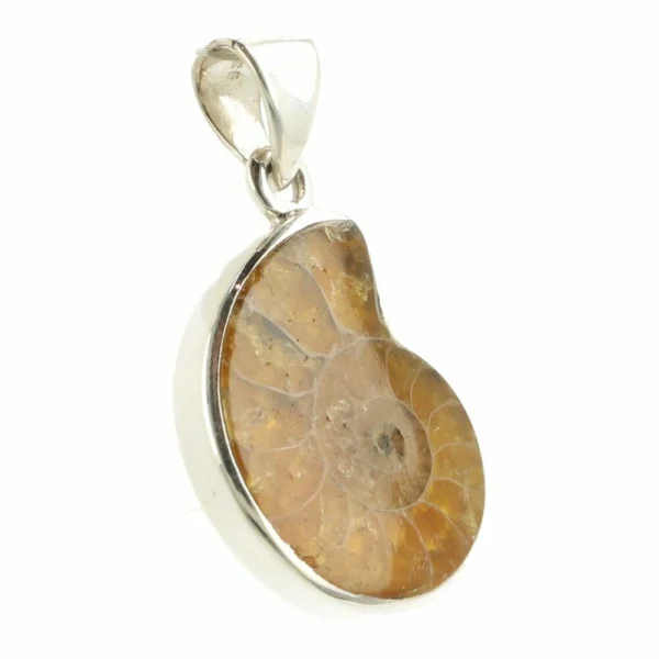 Fraaie ammoniet hanger in zilver nr2